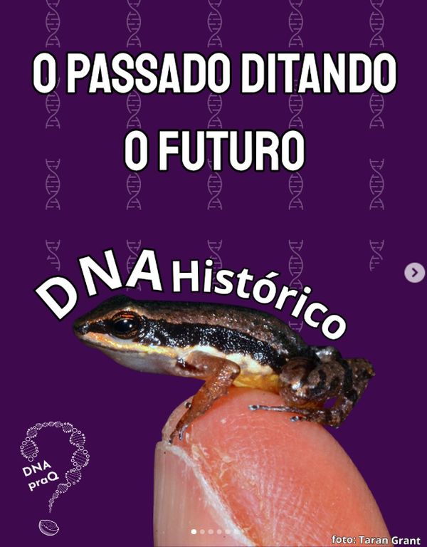 DNA h DNA h
