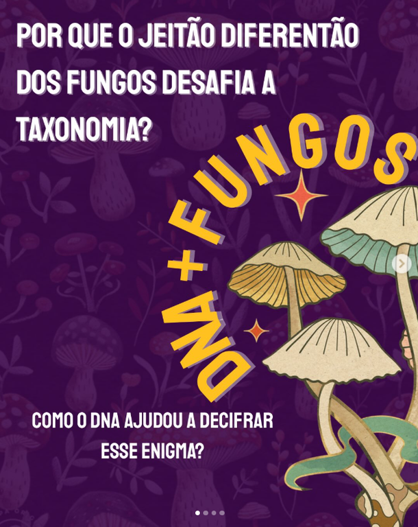Taxonomia de fungos Taxonomia de fungos